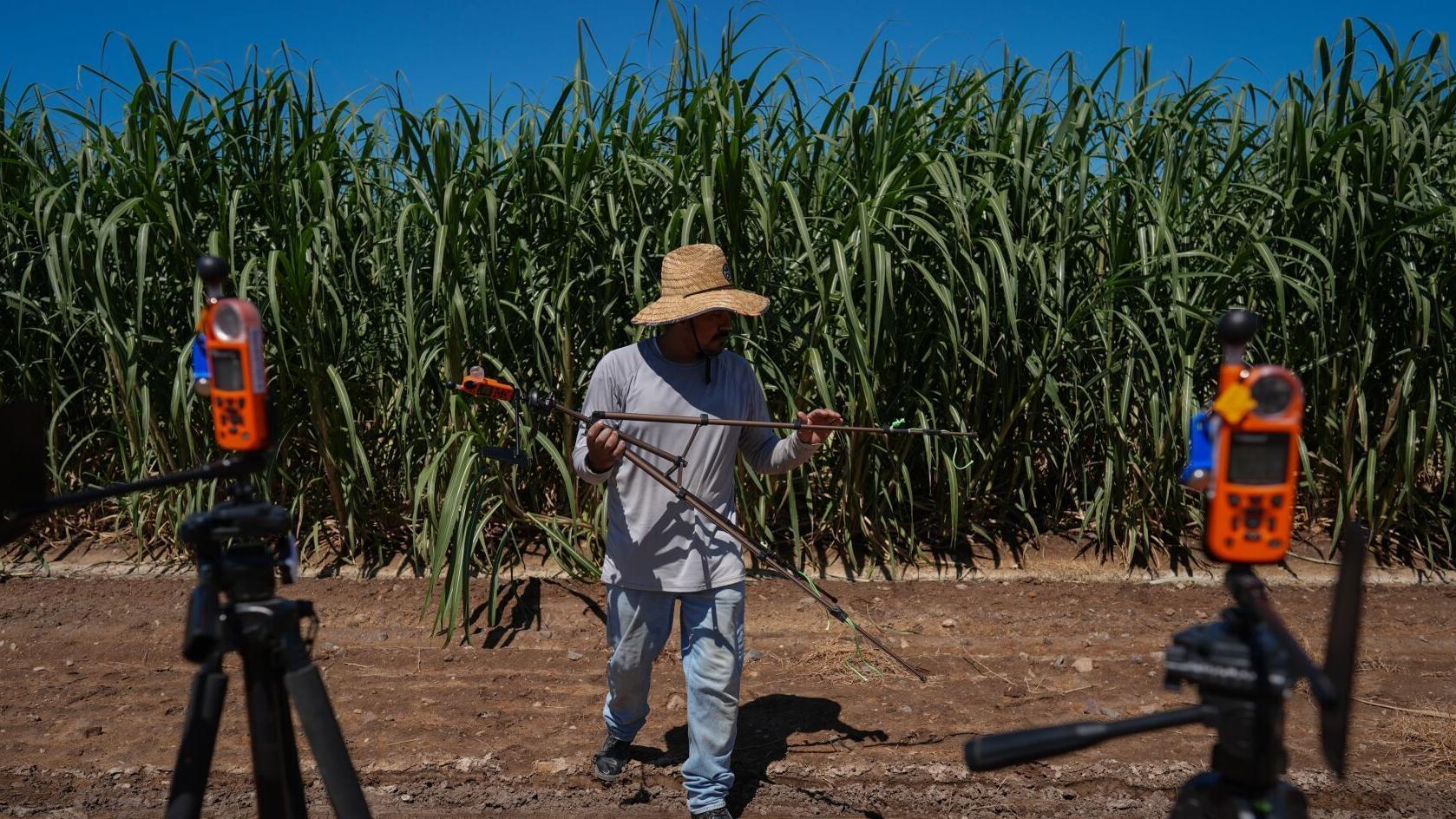 In a California farming region, researchers are mapping rural heat to protect farmworkers